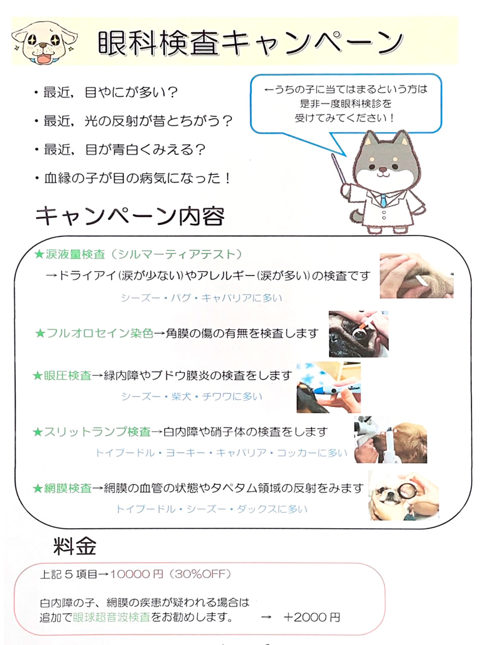 眼科検査キャンペーン
