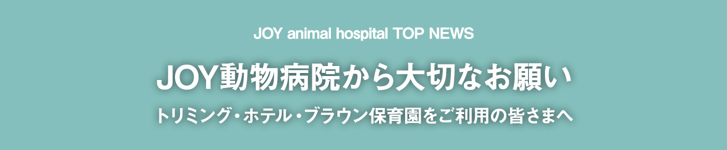 JOY動物病院から大切なお願い