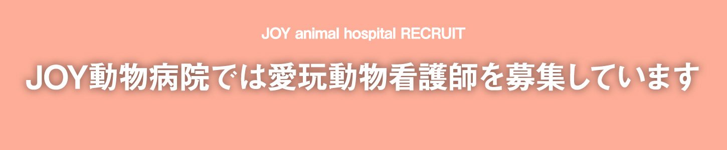 JOY動物病院では愛玩動物看護師を募集しています